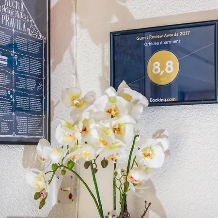 Orhidea Apartamento Premantura